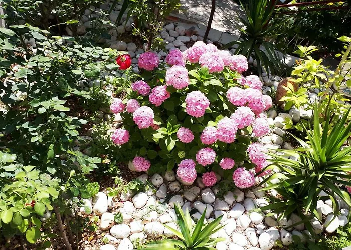 Apartman Silvia Makarska