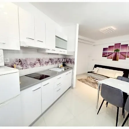 アパート Silvia *